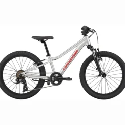 Cannondale Kids Trail 20 - Argento