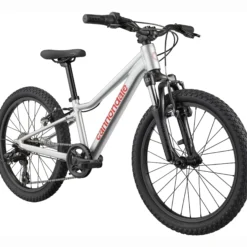 Cannondale Kids Trail 20 - Argento