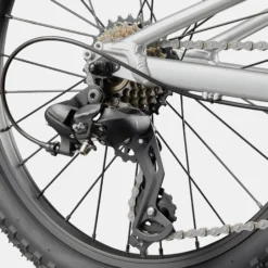 Cannondale Kids Trail 20 - Argento