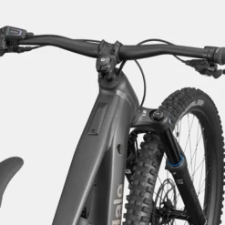 Cannondale Moterra 4 Plus - Grigio scuro