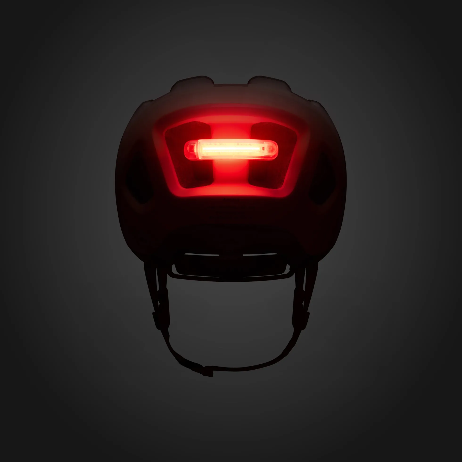 Casco Fizik Kassis - Marrone