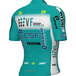Uomo Ale Maglie*agia VF Group - Bardiani CF - Faizane 2025