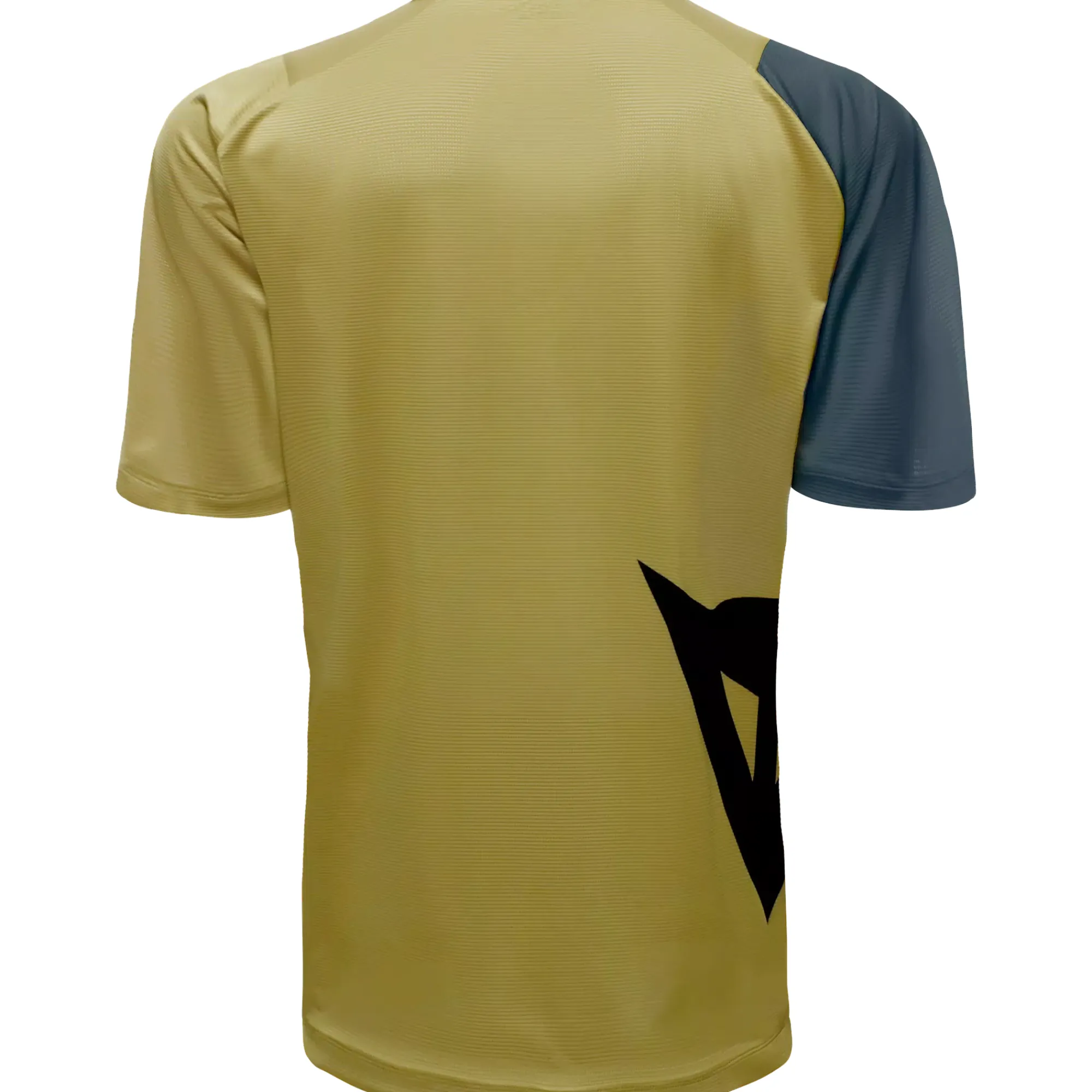 Uomo Dainese Maglie*aglia HG Aer - blu