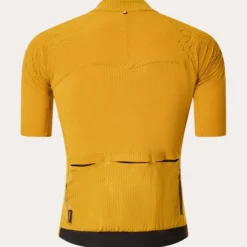 Uomo Q36.5 Maglie*agia Oakey X Gridkin Pintripe -