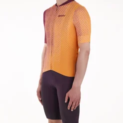 Uomo Santini Maglie*agia Paw Fora - Arancio