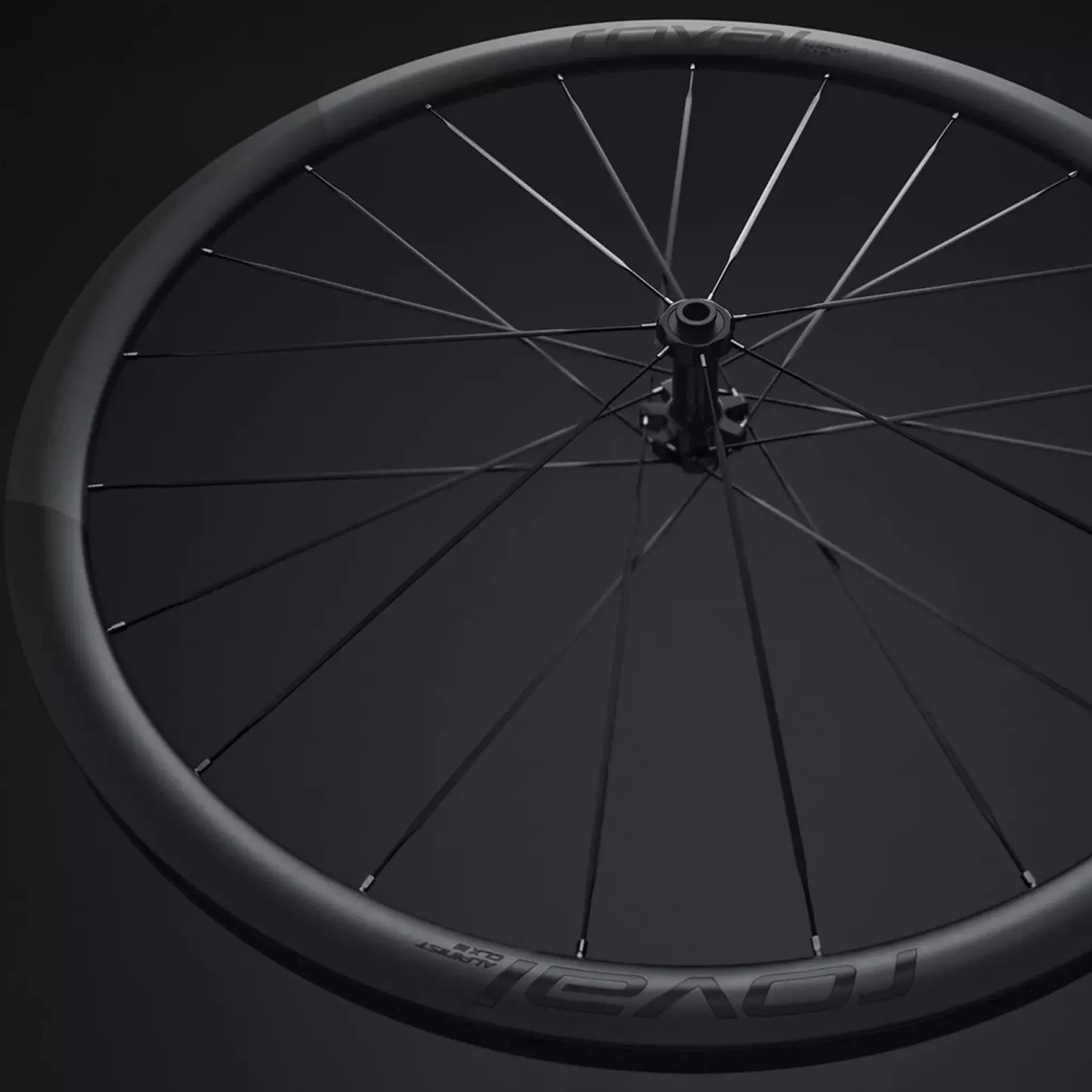 Ruota anteriore Roval Alpinist CLX 3 - Nero