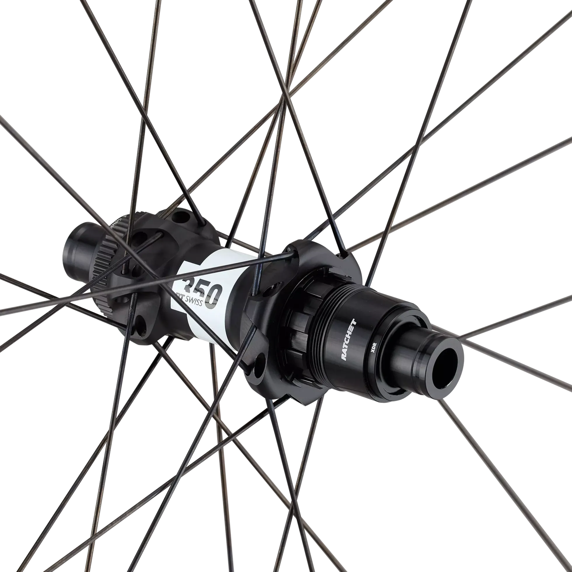 Ruota posteriore Roval Terra Aero CL - Nero