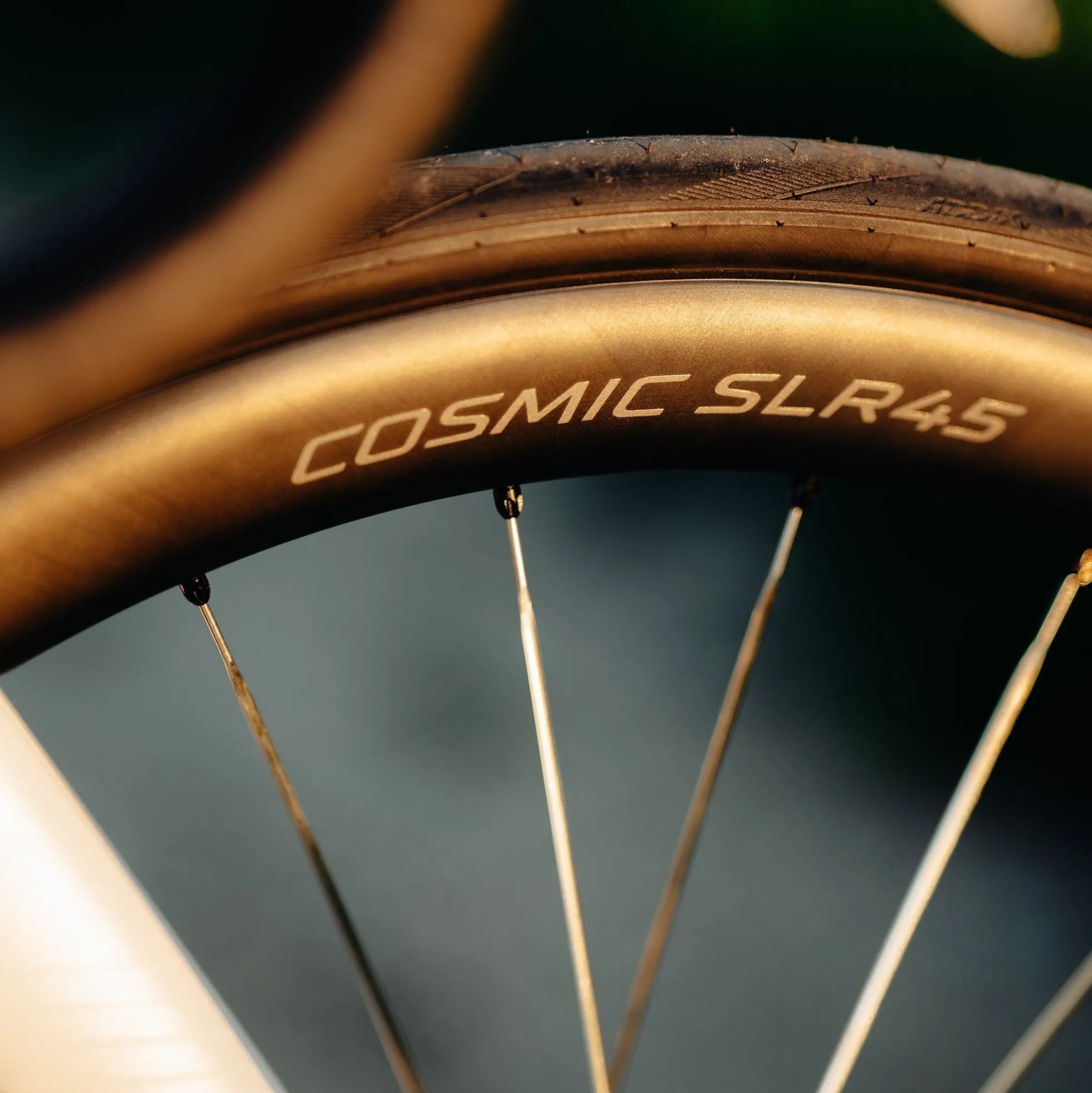 Ruote Mavic Cosmic SLR 45 Disc - Argento