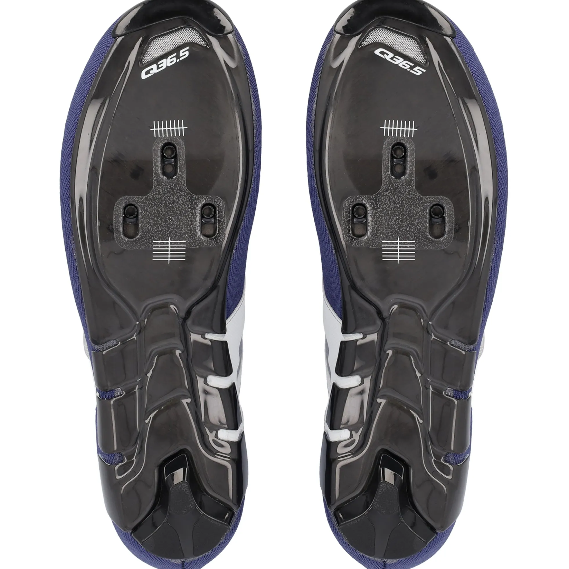 Scarpe Q36.5 Dottore Clima - Blu