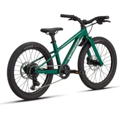 Specialized Riprock 20 - Verde