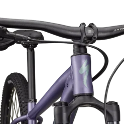 Specialized Rockhopper Comp - Viola