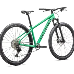 Specialized Rockhopper Expert - Verde