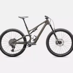 Specialized Stumpjumper 15 Expert - Grigio