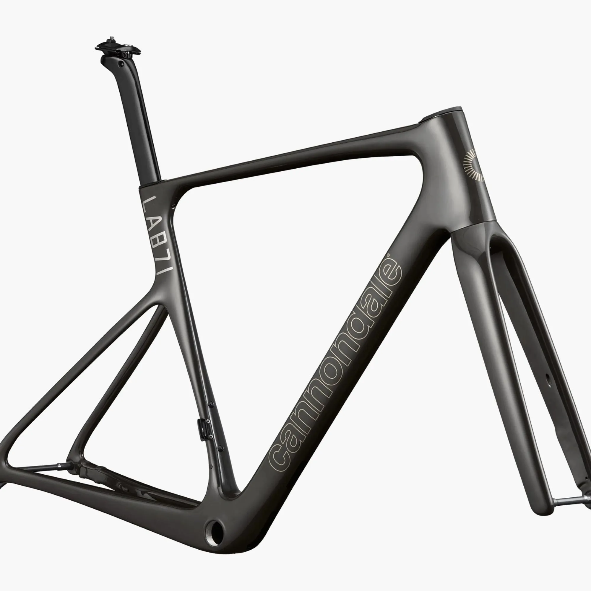 Cannondale Telai*Telaio Supersix EVO LAB71 - Raw