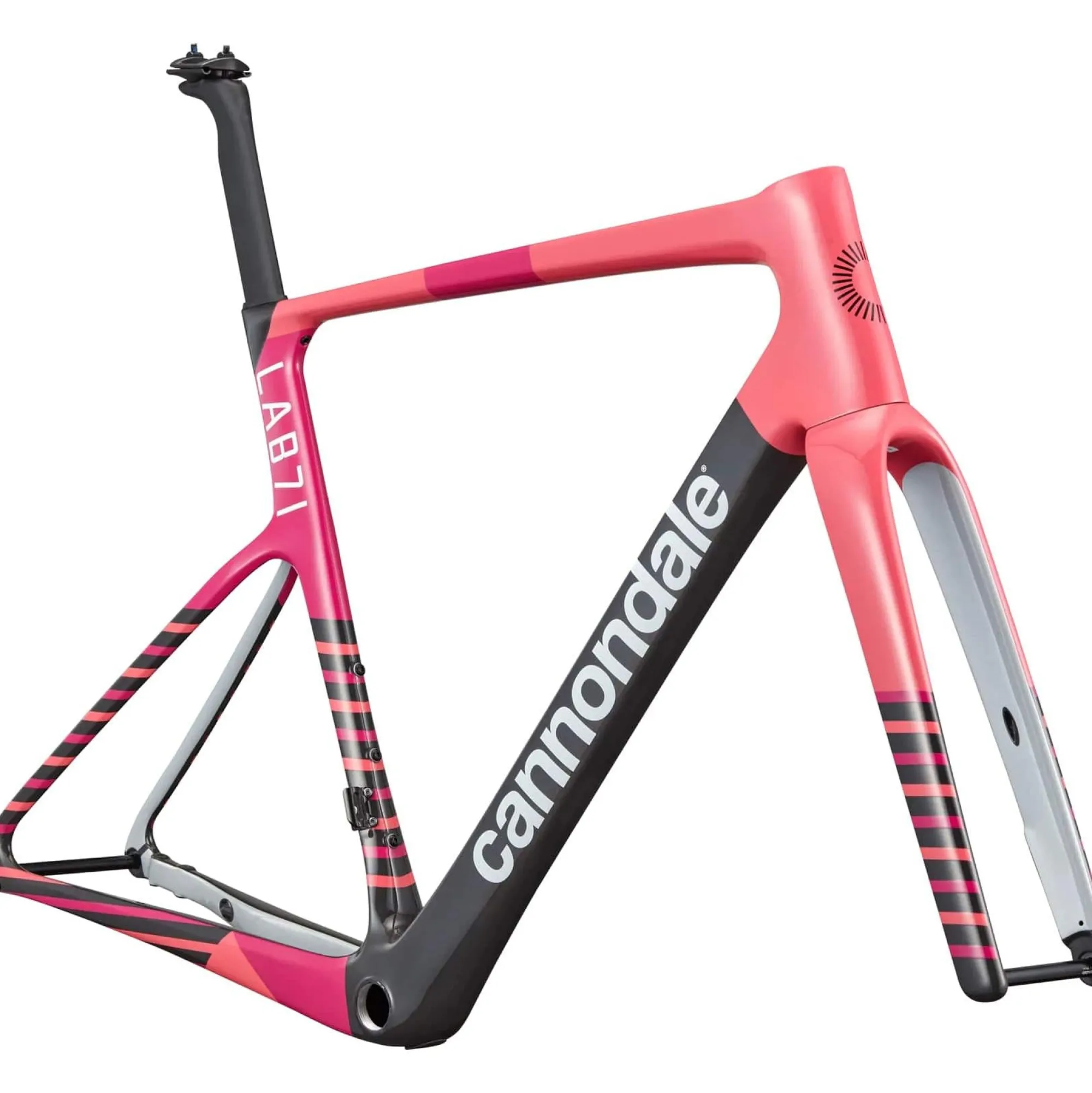 Cannondale Telai*Telaio Supersix EVO LAB71 - EF Team Replica
