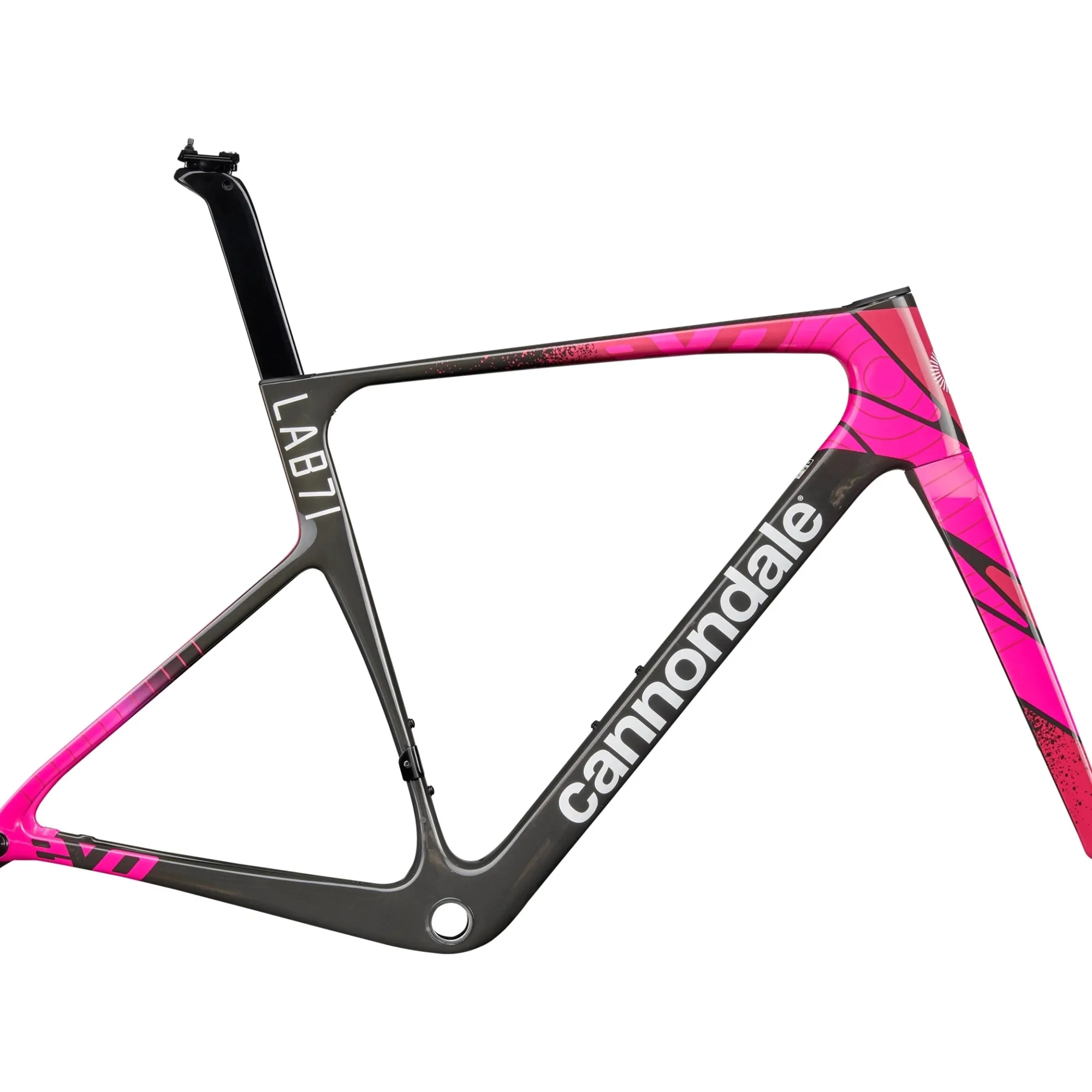 Cannondale Telai*Telaio Supersix EVO LAB71 - EF Team Replica 2026
