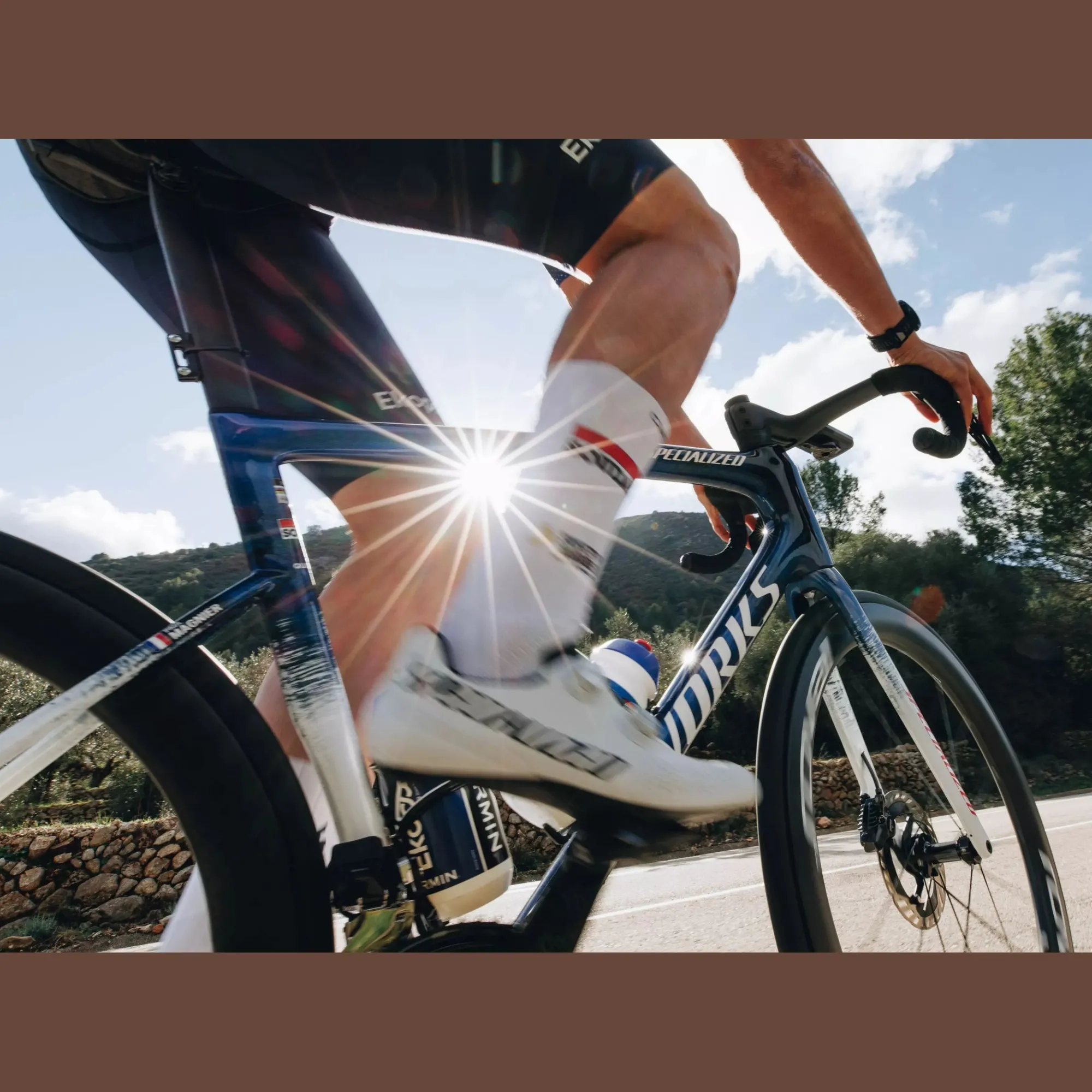 Specialized Telai*Telaio S-Works Tarmac SL8 - Soudal - Quick-Step