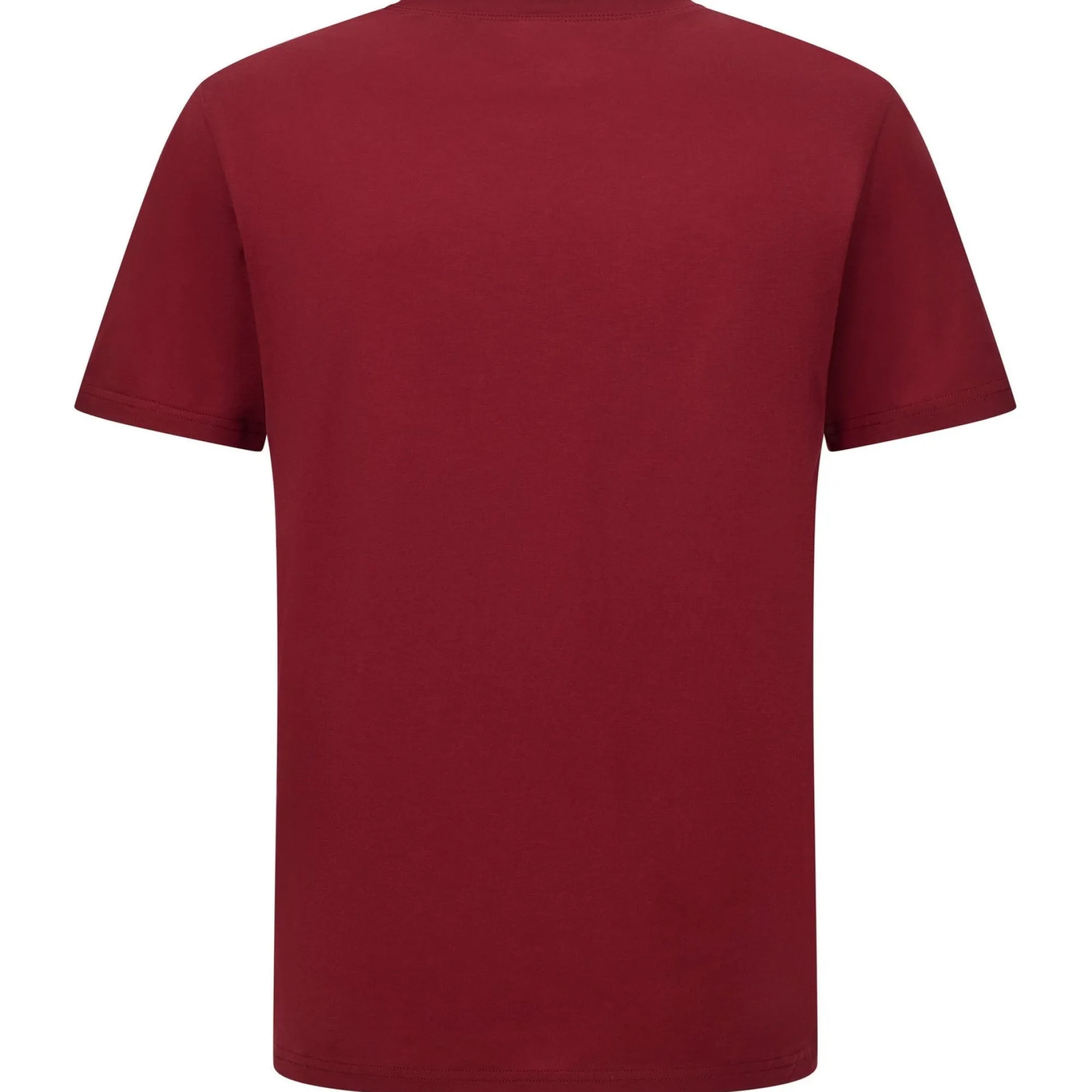Uomo Santini Maglie*T-hirt Eroica trada - Bordeaux
