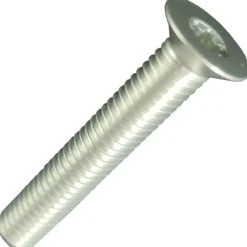 Vite di ricambio Carbon-Ti X-Cap TORX - Argento